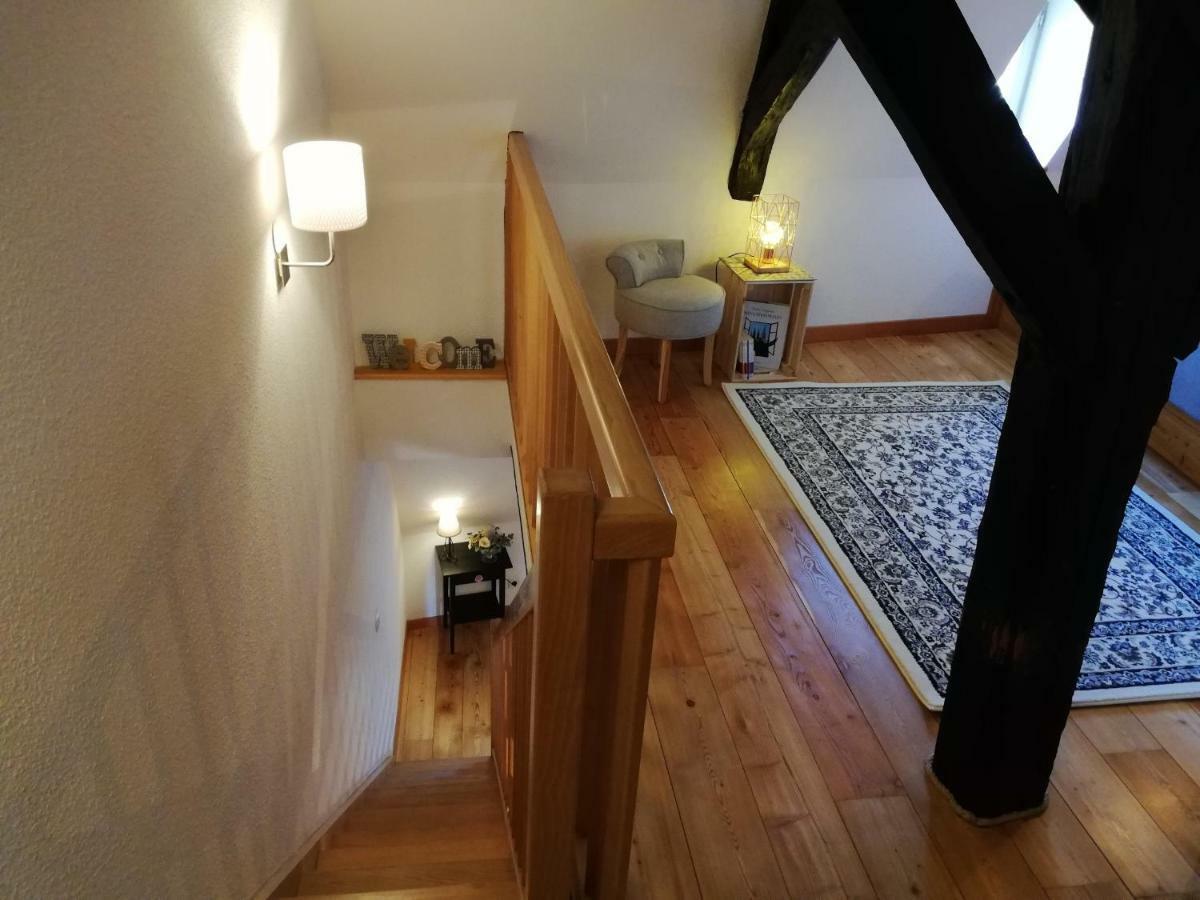 Cosy Duplex Cathedrale Au Bord De L'eau Apartment Straßburg
